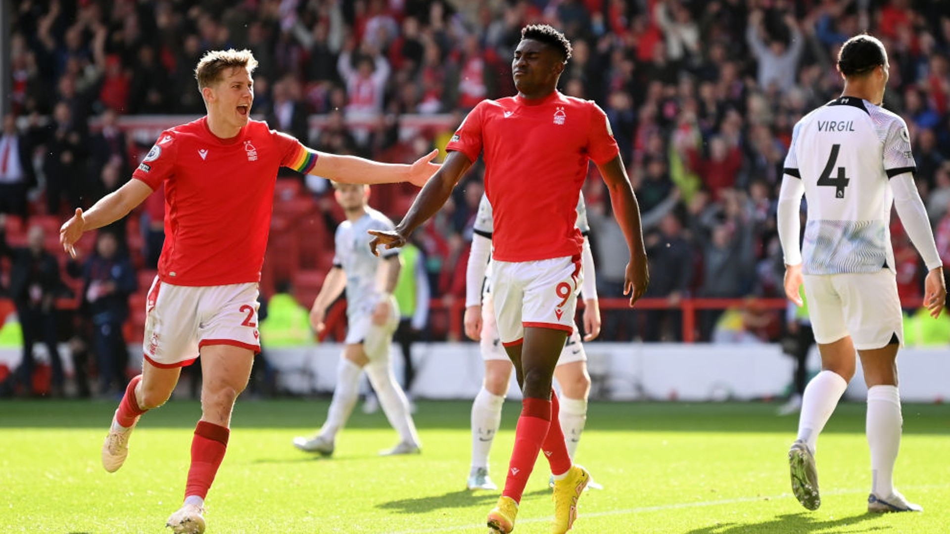 节不透明 节不透明